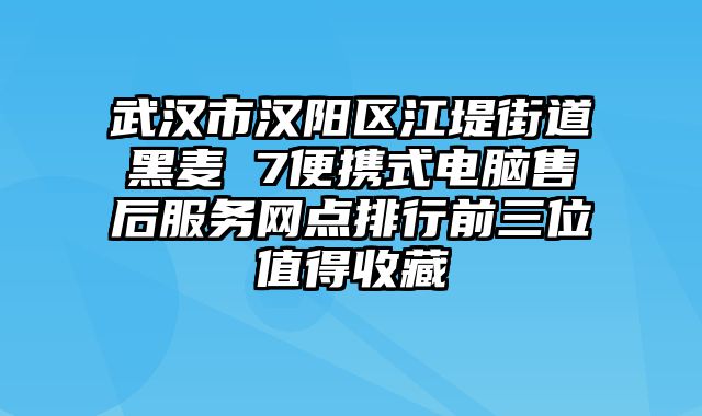 武汉市汉阳区江堤街道黑麦 7便携式电脑售后服务网点排行前三位值得收藏