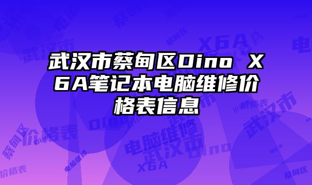 武汉市蔡甸区Dino X6A笔记本电脑维修价格表信息