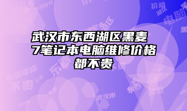 武汉市东西湖区黑麦 7笔记本电脑维修价格都不贵