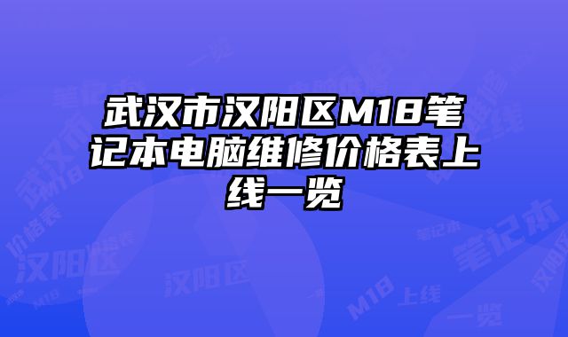 武汉市汉阳区M18笔记本电脑维修价格表上线一览