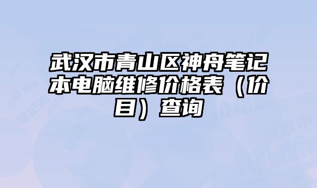 武汉市青山区神舟笔记本电脑维修价格表（价目）查询