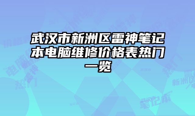 武汉市新洲区雷神笔记本电脑维修价格表热门一览