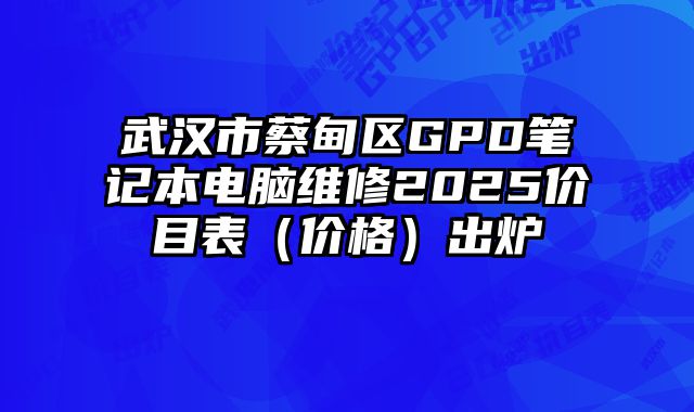 武汉市蔡甸区GPD笔记本电脑维修2025价目表（价格）出炉