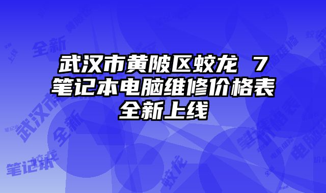 武汉市黄陂区蛟龙 7笔记本电脑维修价格表全新上线