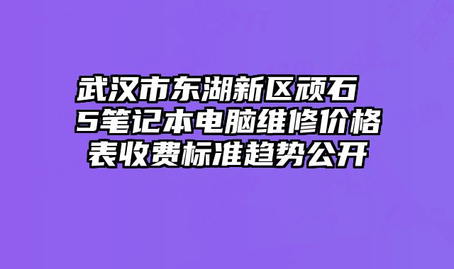 武汉市东湖新区顽石 5笔记本电脑维修价格表收费标准趋势公开