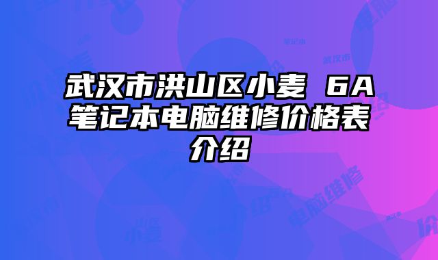 武汉市洪山区小麦 6A笔记本电脑维修价格表介绍