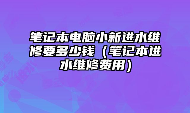 笔记本电脑小新进水维修要多少钱（笔记本进水维修费用）