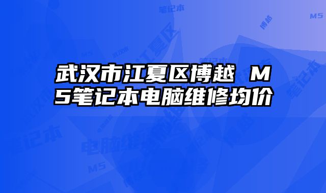 武汉市江夏区博越 M5笔记本电脑维修均价