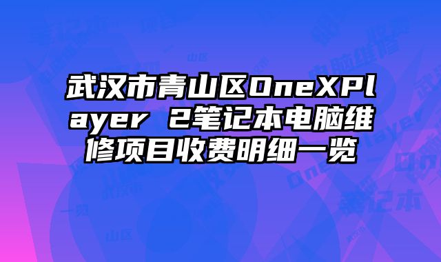 武汉市青山区OneXPlayer 2笔记本电脑维修项目收费明细一览