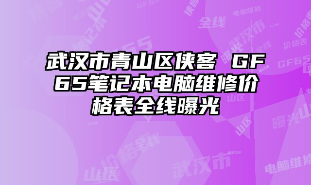 武汉市青山区侠客 GF65笔记本电脑维修价格表全线曝光