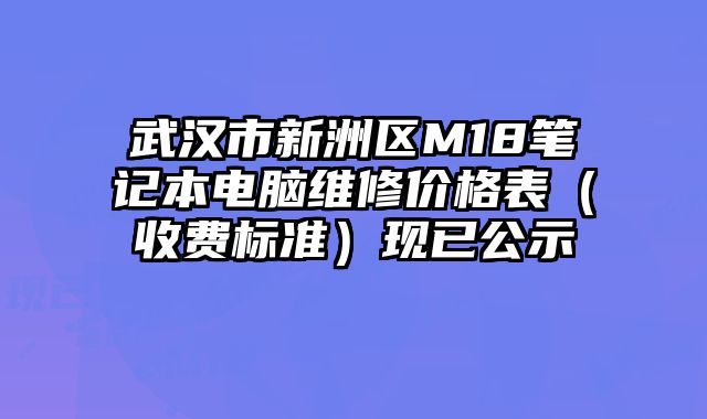 武汉市新洲区M18笔记本电脑维修价格表（收费标准）现已公示