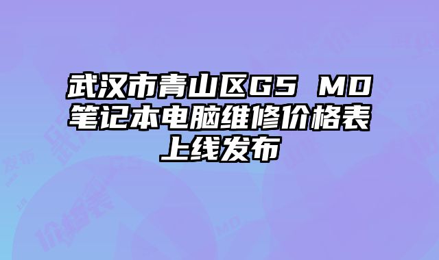 武汉市青山区G5 MD笔记本电脑维修价格表上线发布