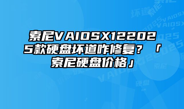 索尼VAIOSX122025款硬盘坏道咋修复？「索尼硬盘价格」