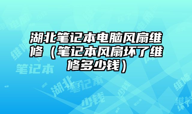 湖北笔记本电脑风扇维修（笔记本风扇坏了维修多少钱）