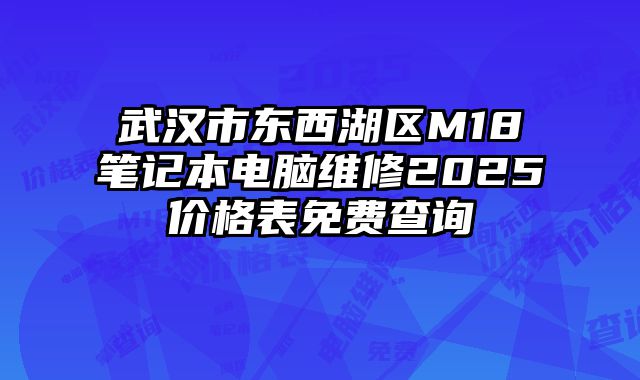 武汉市东西湖区M18笔记本电脑维修2025价格表免费查询