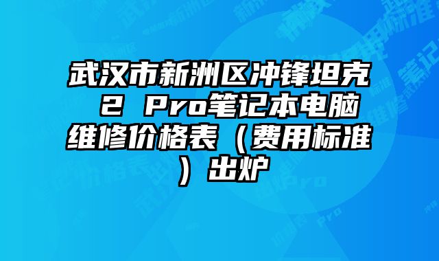 武汉市新洲区冲锋坦克 2 Pro笔记本电脑维修价格表（费用标准）出炉