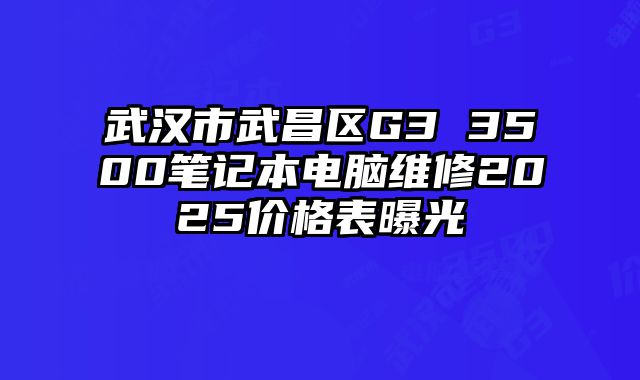 武汉市武昌区G3 3500笔记本电脑维修2025价格表曝光