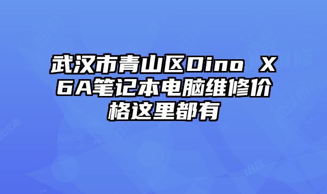 武汉市青山区Dino X6A笔记本电脑维修价格这里都有