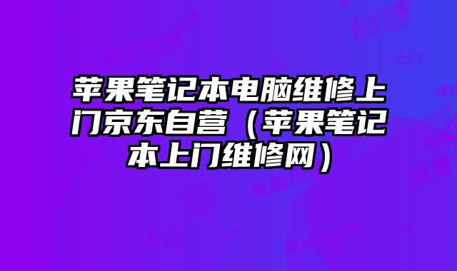 苹果笔记本电脑维修上门京东自营（苹果笔记本上门维修网）