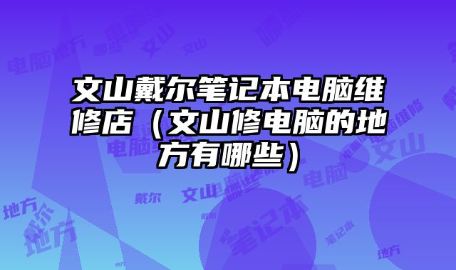 文山戴尔笔记本电脑维修店（文山修电脑的地方有哪些）