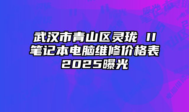 武汉市青山区灵珑 II笔记本电脑维修价格表2025曝光