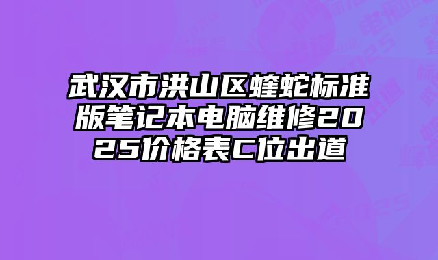 武汉市洪山区蝰蛇标准版笔记本电脑维修2025价格表C位出道