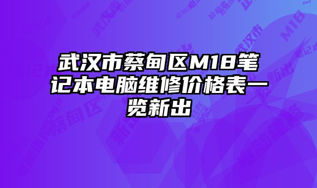 武汉市蔡甸区M18笔记本电脑维修价格表一览新出