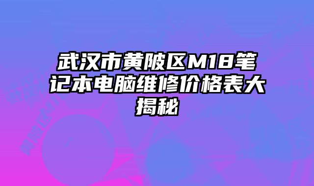 武汉市黄陂区M18笔记本电脑维修价格表大揭秘