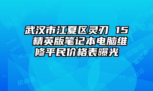 武汉市江夏区灵刃 15 精英版笔记本电脑维修平民价格表曝光