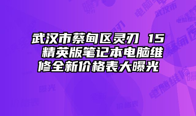 武汉市蔡甸区灵刃 15 精英版笔记本电脑维修全新价格表大曝光