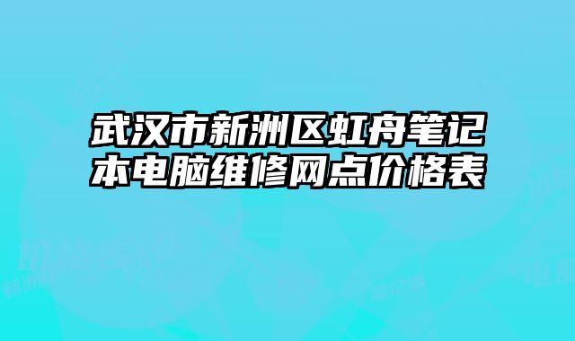 武汉市新洲区虹舟笔记本电脑维修网点价格表