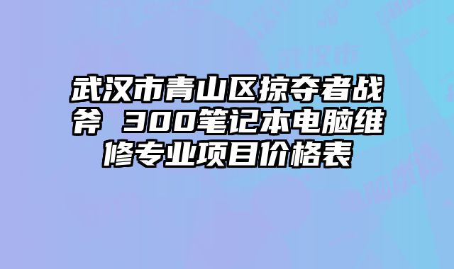 武汉市青山区掠夺者战斧 300笔记本电脑维修专业项目价格表