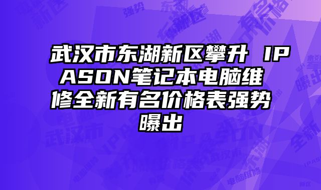 武汉市东湖新区攀升 IPASON笔记本电脑维修全新有名价格表强势曝出