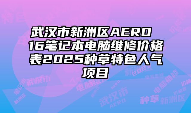 武汉市新洲区AERO 16笔记本电脑维修价格表2025种草特色人气项目