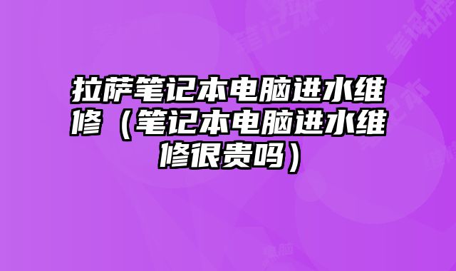 拉萨笔记本电脑进水维修（笔记本电脑进水维修很贵吗）