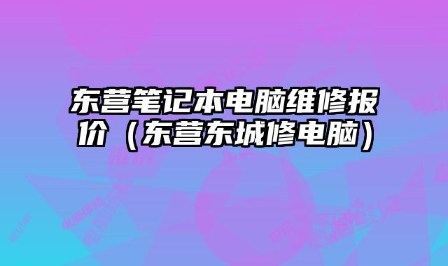 东营笔记本电脑维修报价（东营东城修电脑）