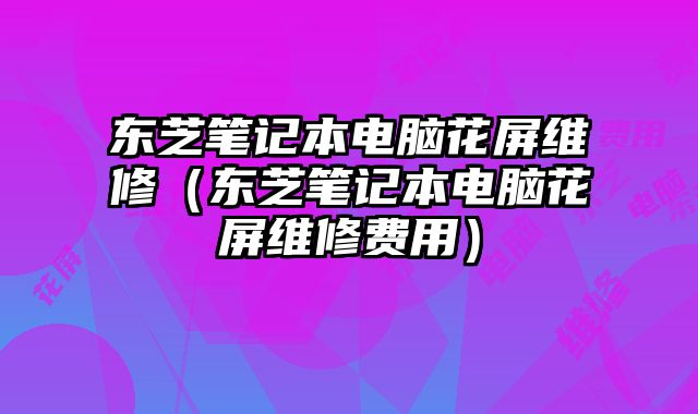 东芝笔记本电脑花屏维修（东芝笔记本电脑花屏维修费用）