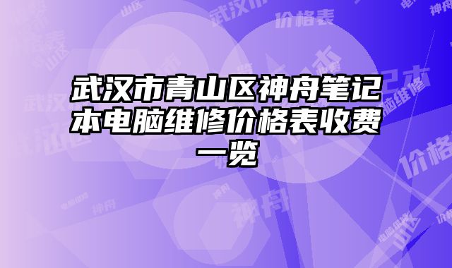 武汉市青山区神舟笔记本电脑维修价格表收费一览