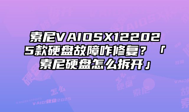 索尼VAIOSX122025款硬盘故障咋修复？「索尼硬盘怎么拆开」