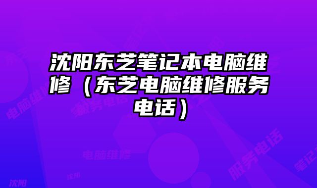 沈阳东芝笔记本电脑维修（东芝电脑维修服务电话）