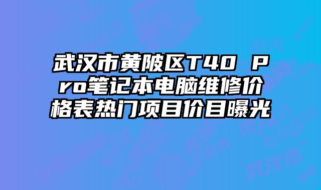 武汉市黄陂区T40 Pro笔记本电脑维修价格表热门项目价目曝光