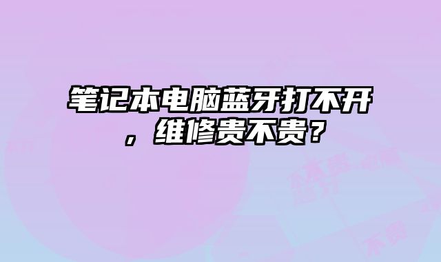 笔记本电脑蓝牙打不开，维修贵不贵？