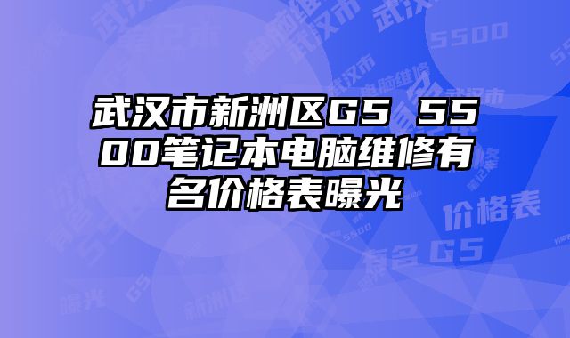 武汉市新洲区G5 5500笔记本电脑维修有名价格表曝光