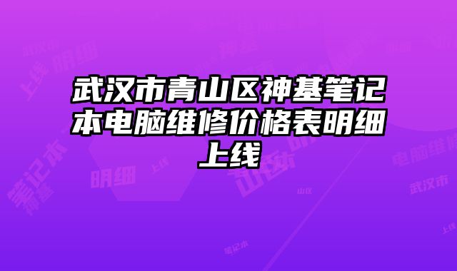 武汉市青山区神基笔记本电脑维修价格表明细上线