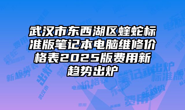 武汉市东西湖区蝰蛇标准版笔记本电脑维修价格表2025版费用新趋势出炉