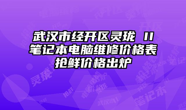 武汉市经开区灵珑 II笔记本电脑维修价格表抢鲜价格出炉