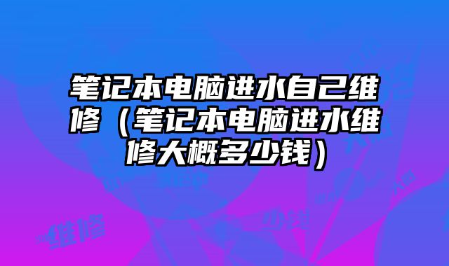 笔记本电脑进水自己维修（笔记本电脑进水维修大概多少钱）