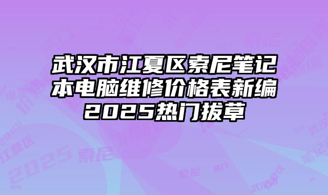 武汉市江夏区索尼笔记本电脑维修价格表新编2025热门拔草