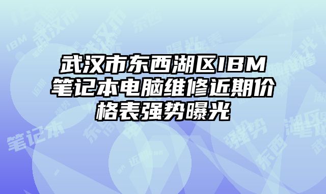 武汉市东西湖区IBM笔记本电脑维修近期价格表强势曝光