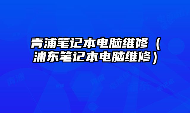 青浦笔记本电脑维修（浦东笔记本电脑维修）